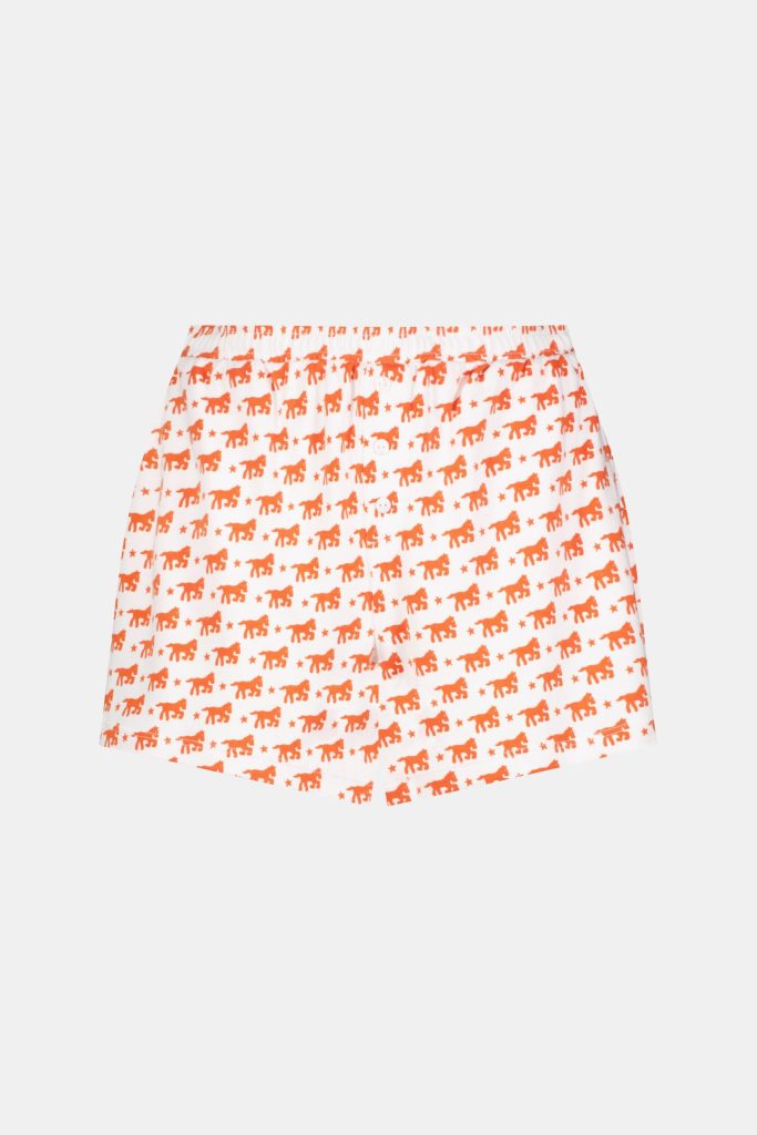 Lucky Stars Brooklyn Boxer