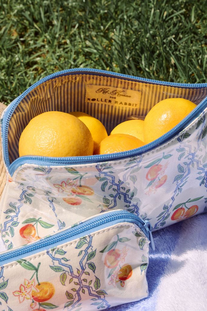 Clementine Trellis Makeup Bag
