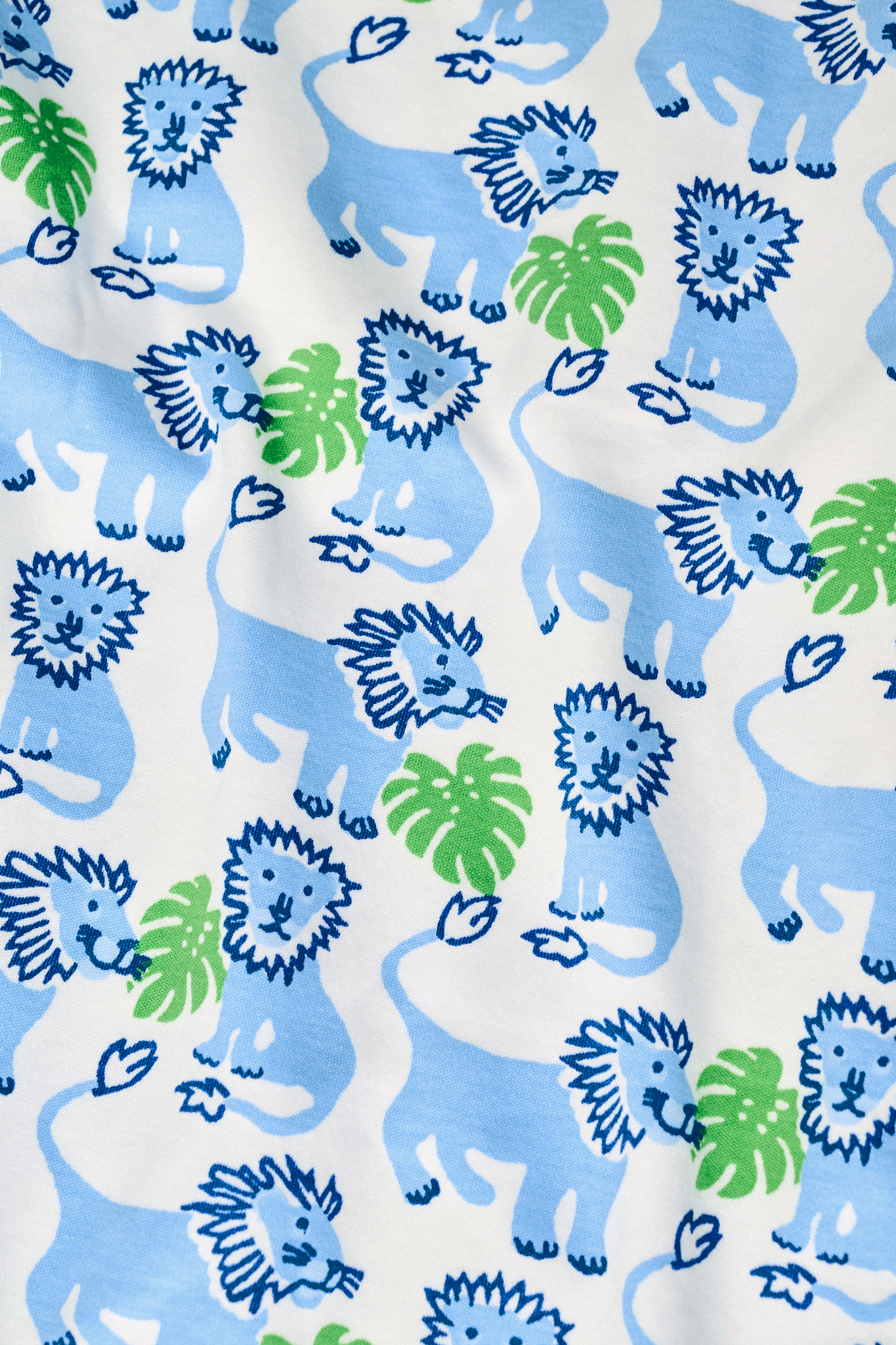 Kids Leo The Lion Pajamas