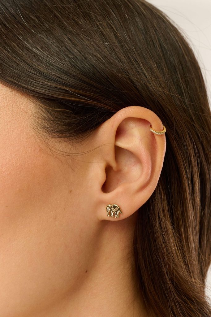 Icon Party Earring Pack