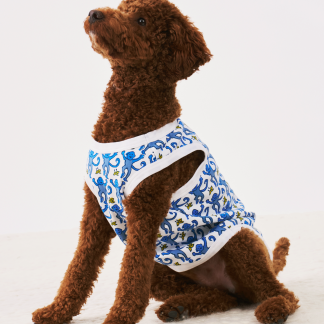 Monkey Dog Pajamas
