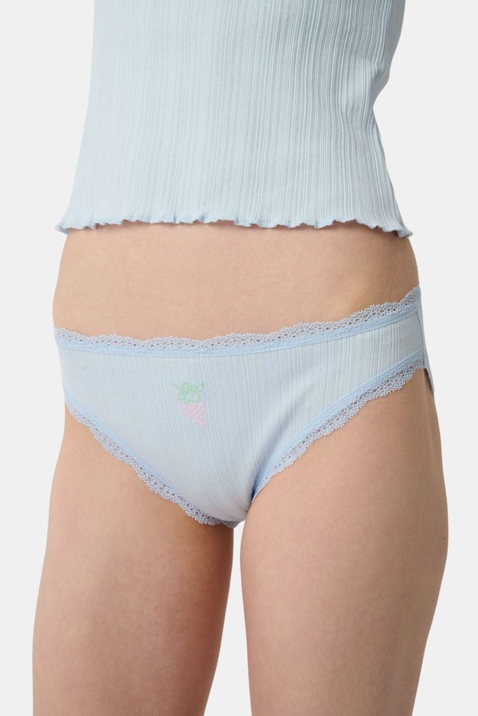 Fruits Embroidery Bikini 4 Pack