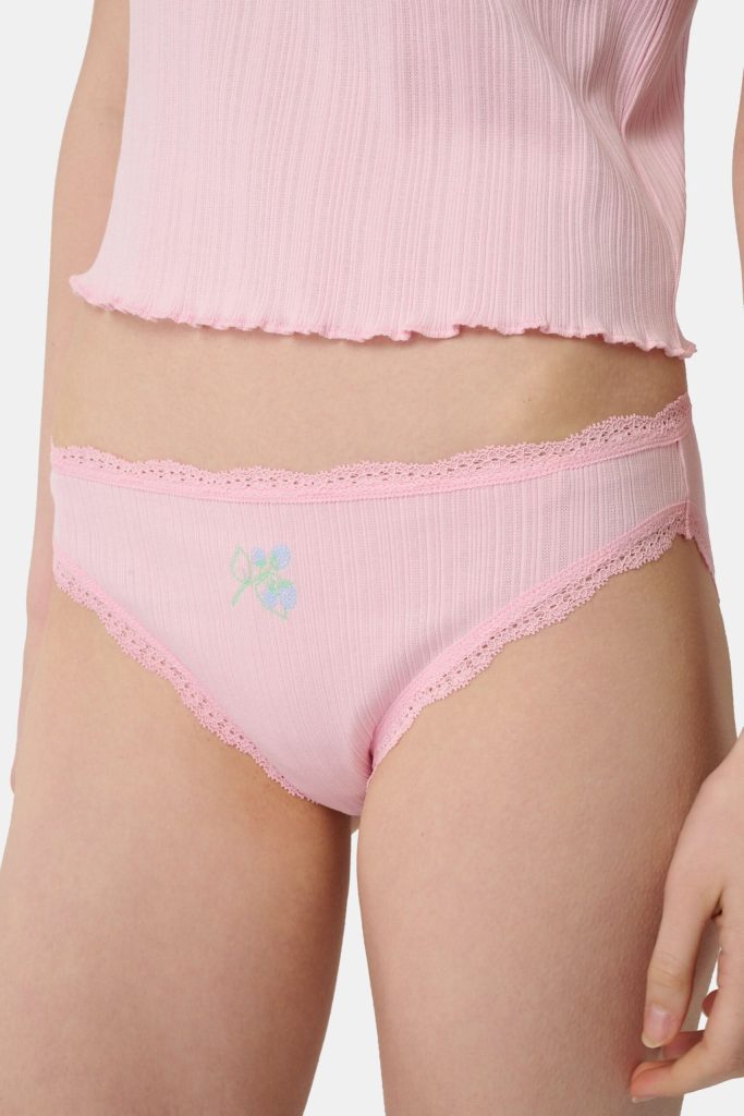 Fruits Embroidery Bikini 4 Pack