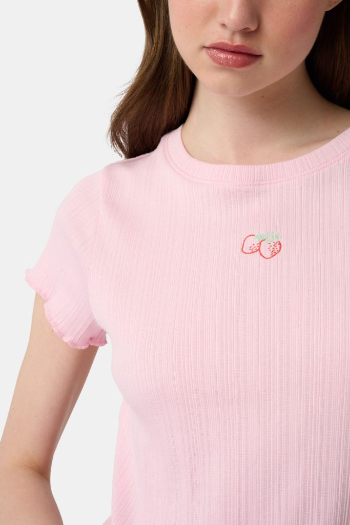 Fruits Embroidery Kat Set