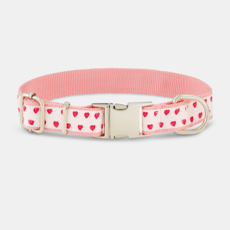 Hearts Dog Collar