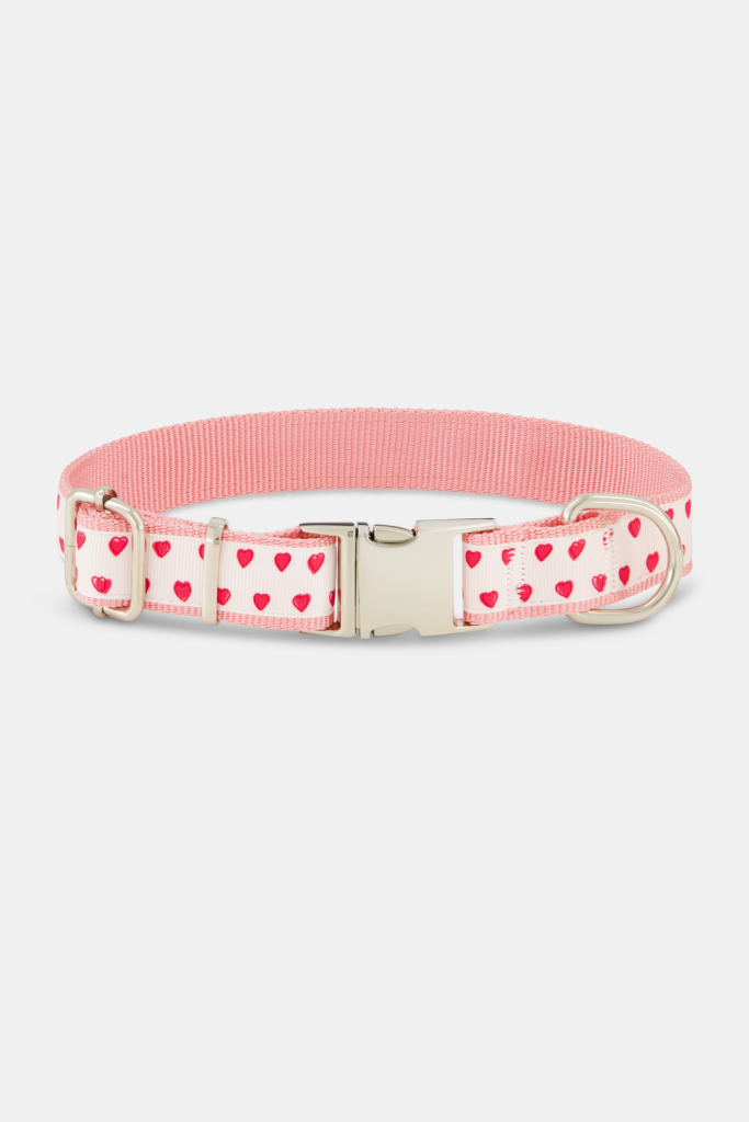 Hearts Dog Collar